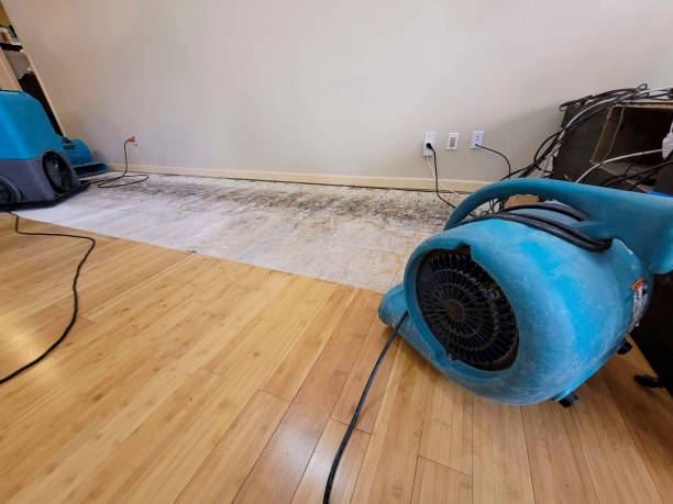 Professional Burst Pipe Water Damage technician working in Houston, MS